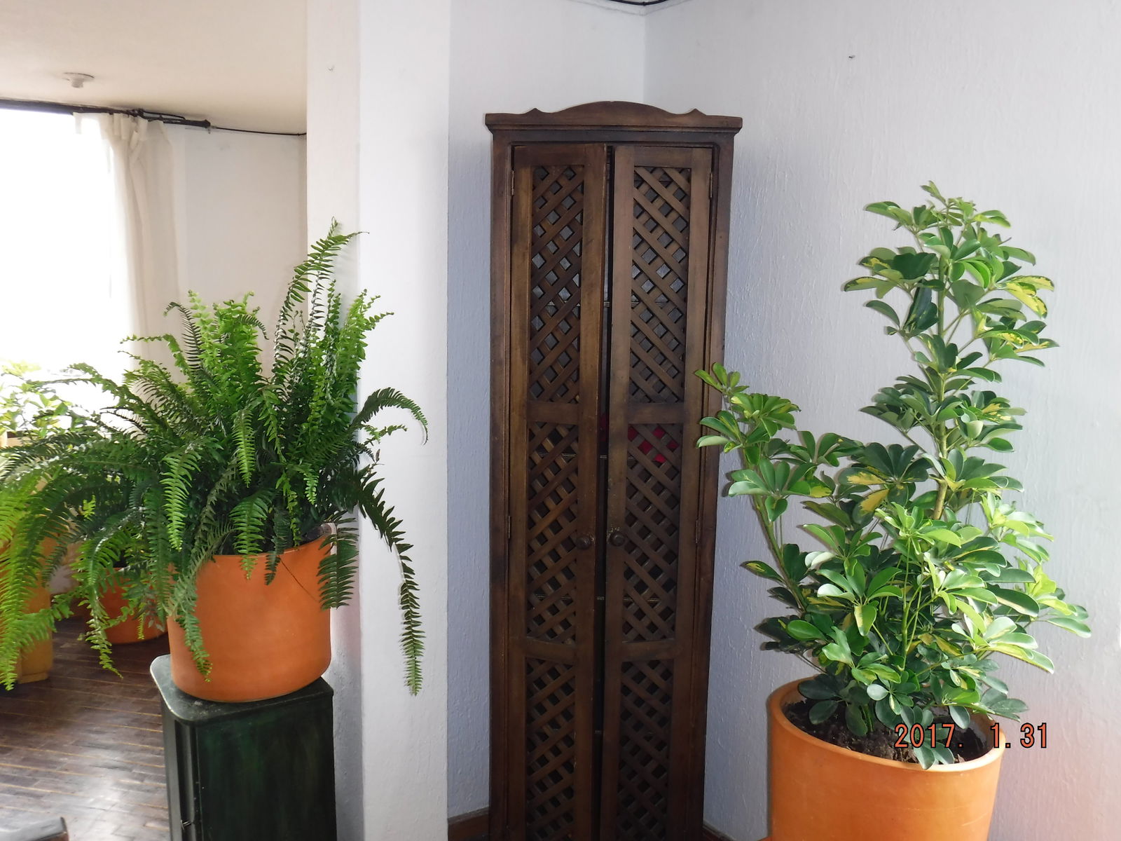 Colocation Quito 54257