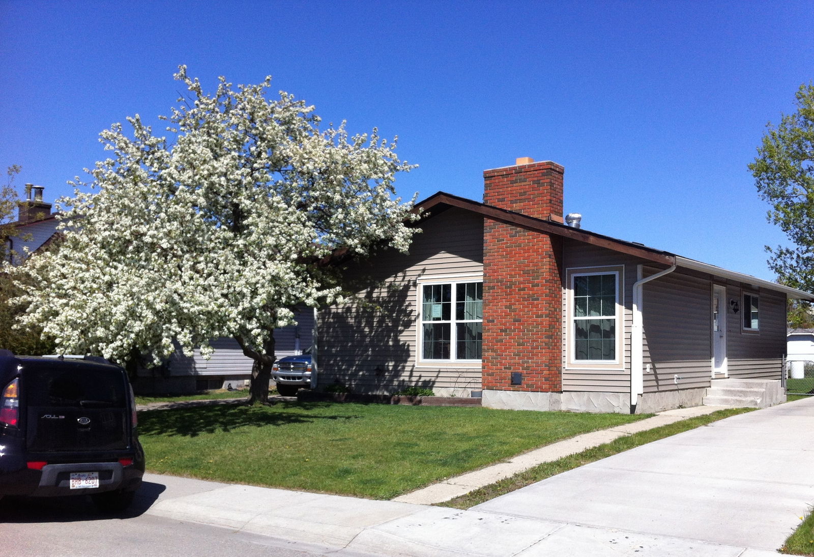 Homestay Airdrie 113636