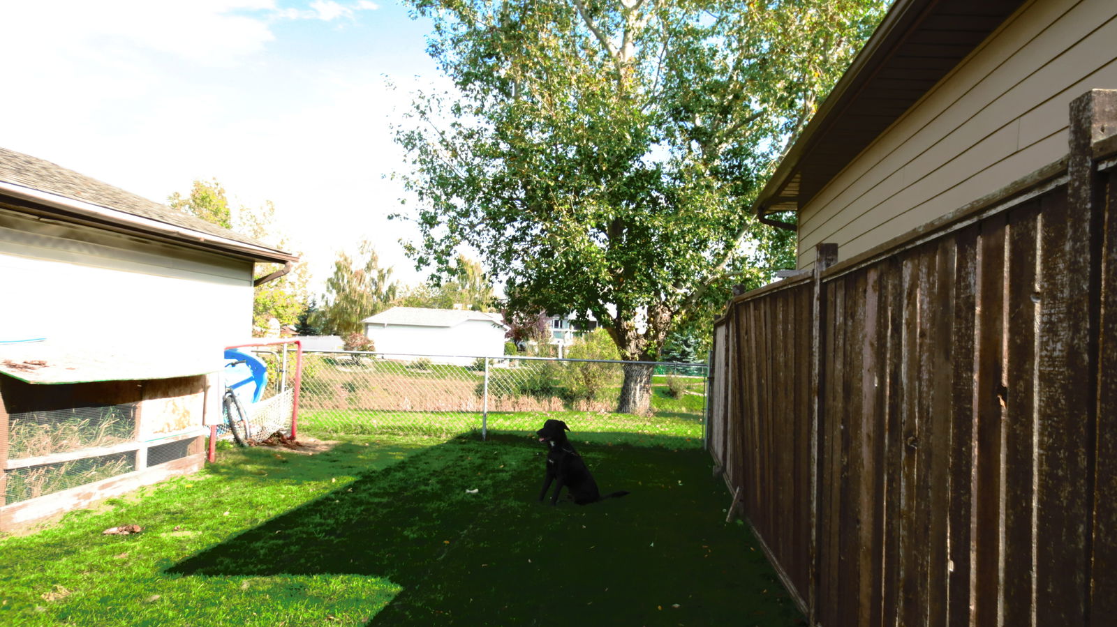 Homestay Airdrie 113636