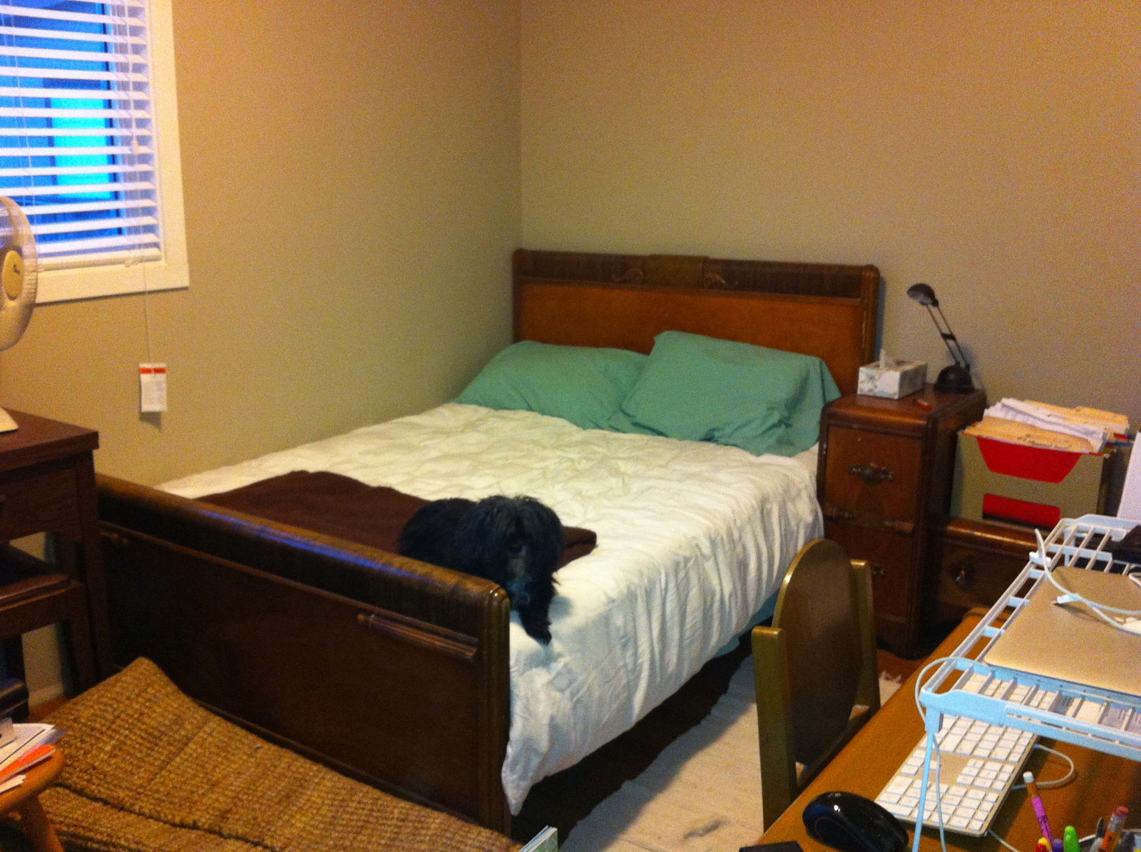 Homestay Airdrie 113636