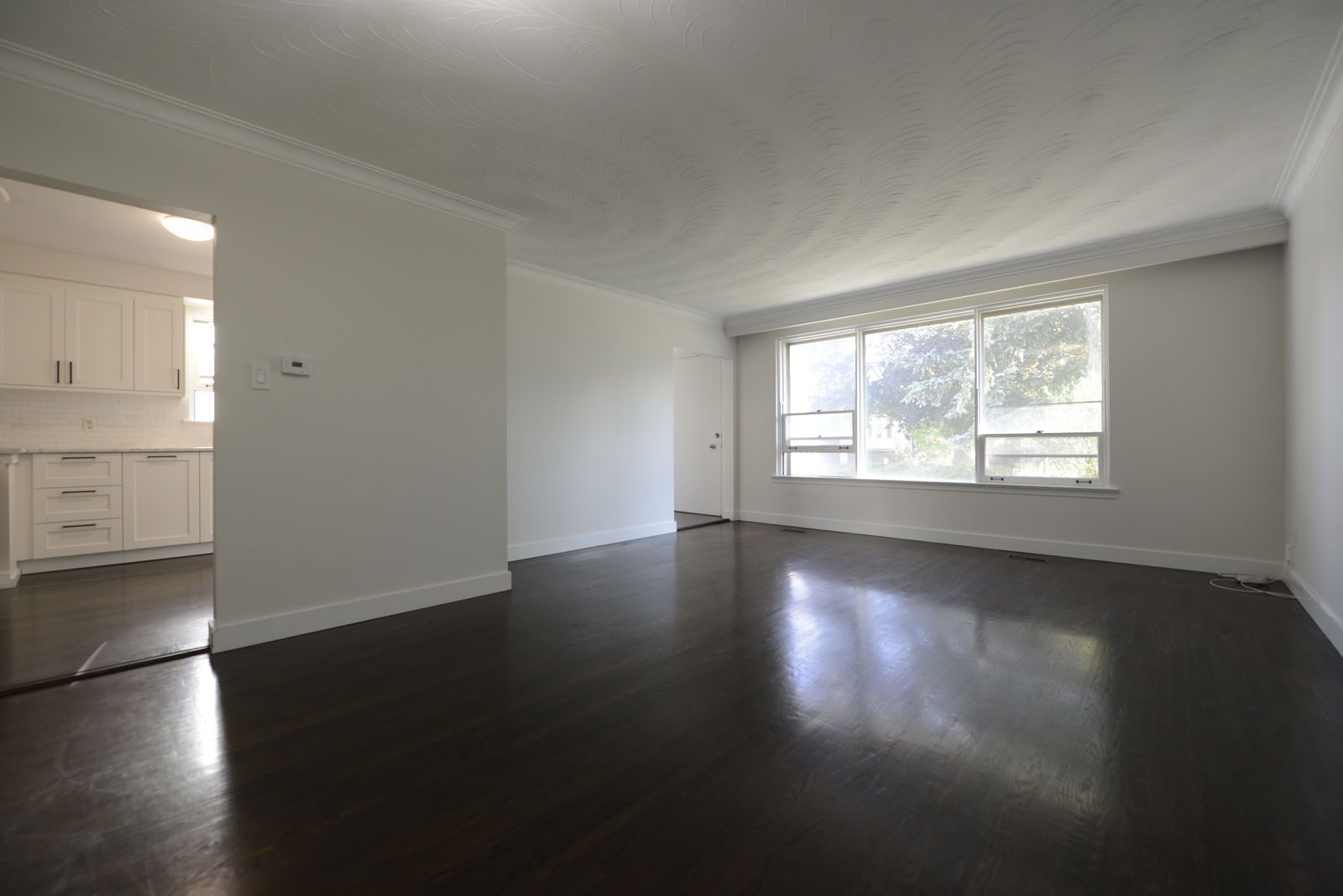 Coliving Toronto 629254