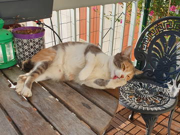 Homestay Paris 196990-11