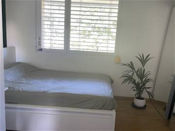 Room For Rent Milvignes 224837-1
