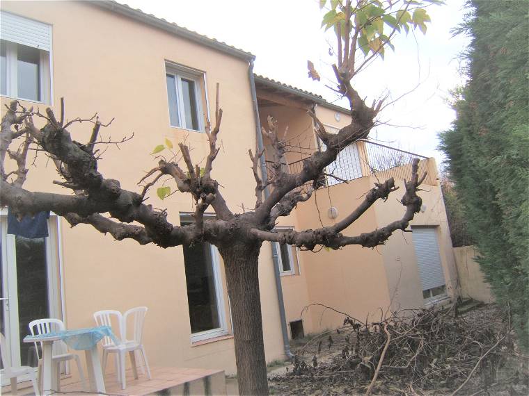 Homestay Nîmes 263338