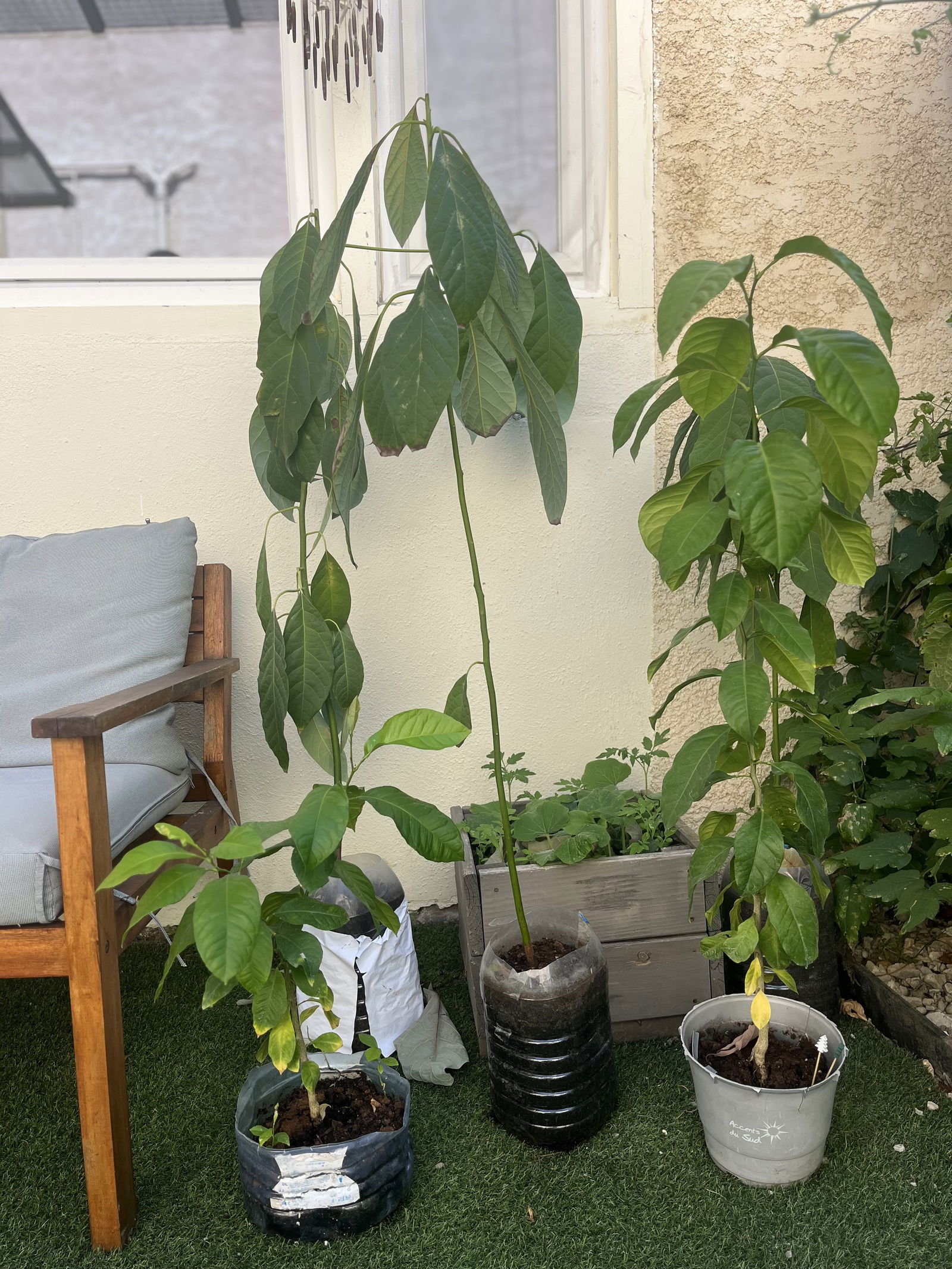 Colocation Athis-Mons 259621