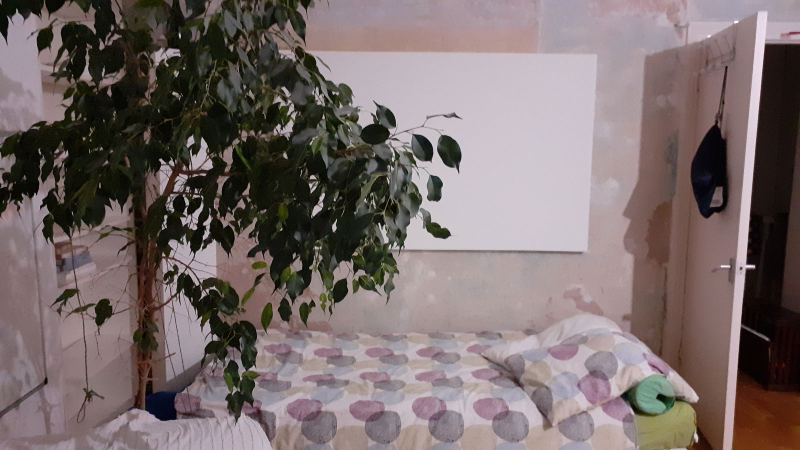 Homestay London 253536