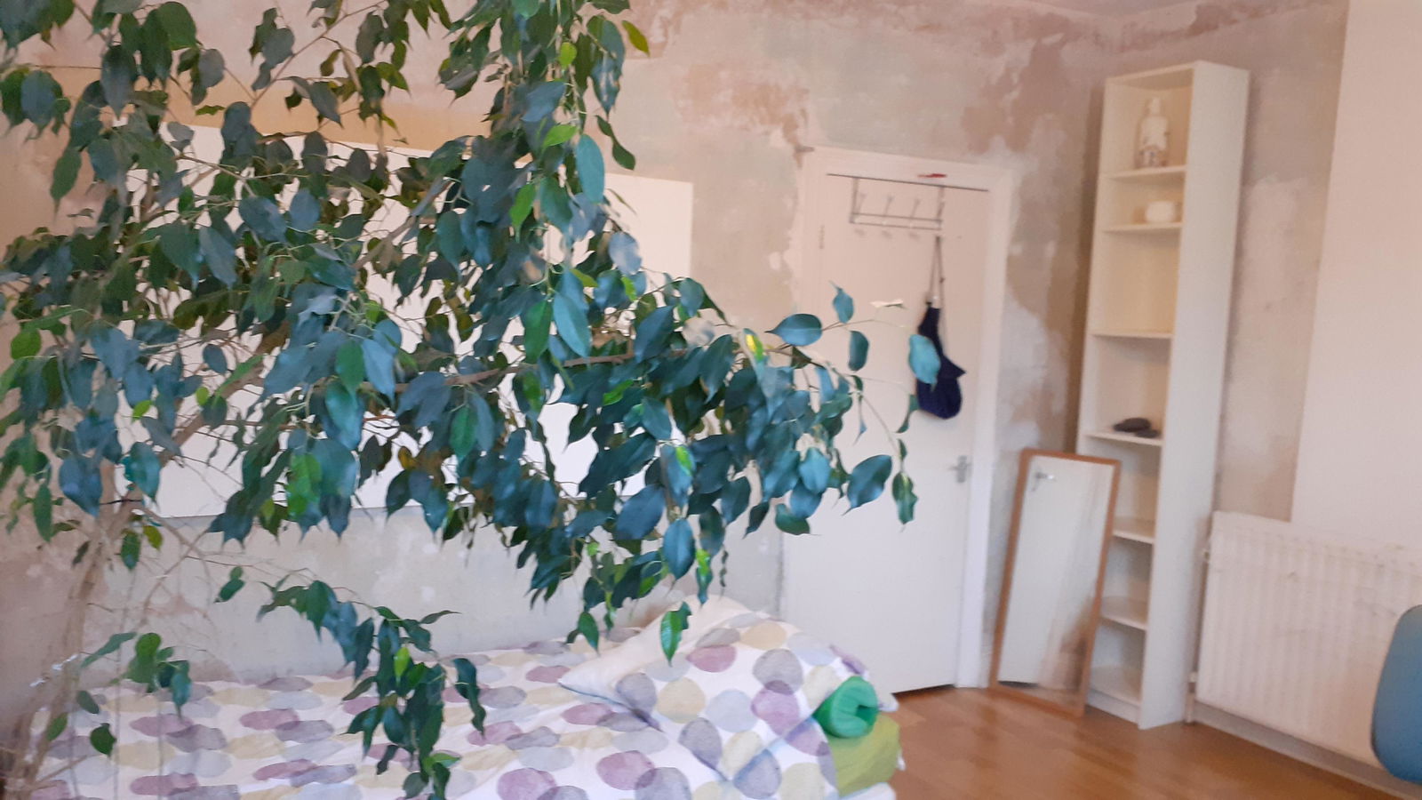 Homestay London 253536