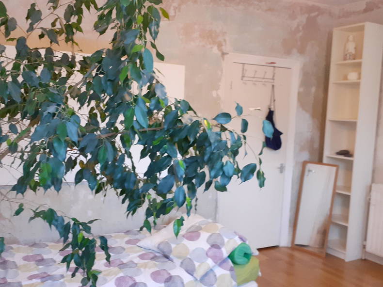 Homestay London 253536-2