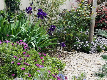 Gastfamilie Villeneuve-Lès-Avignon 508578-3