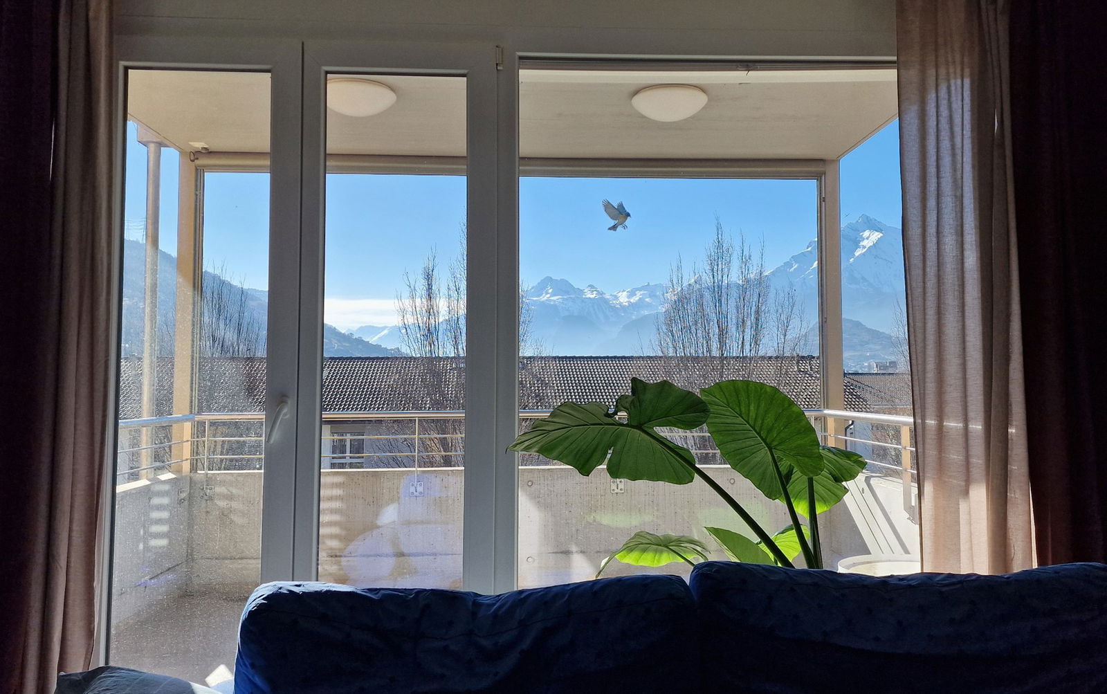 Colocation Bramois 491123