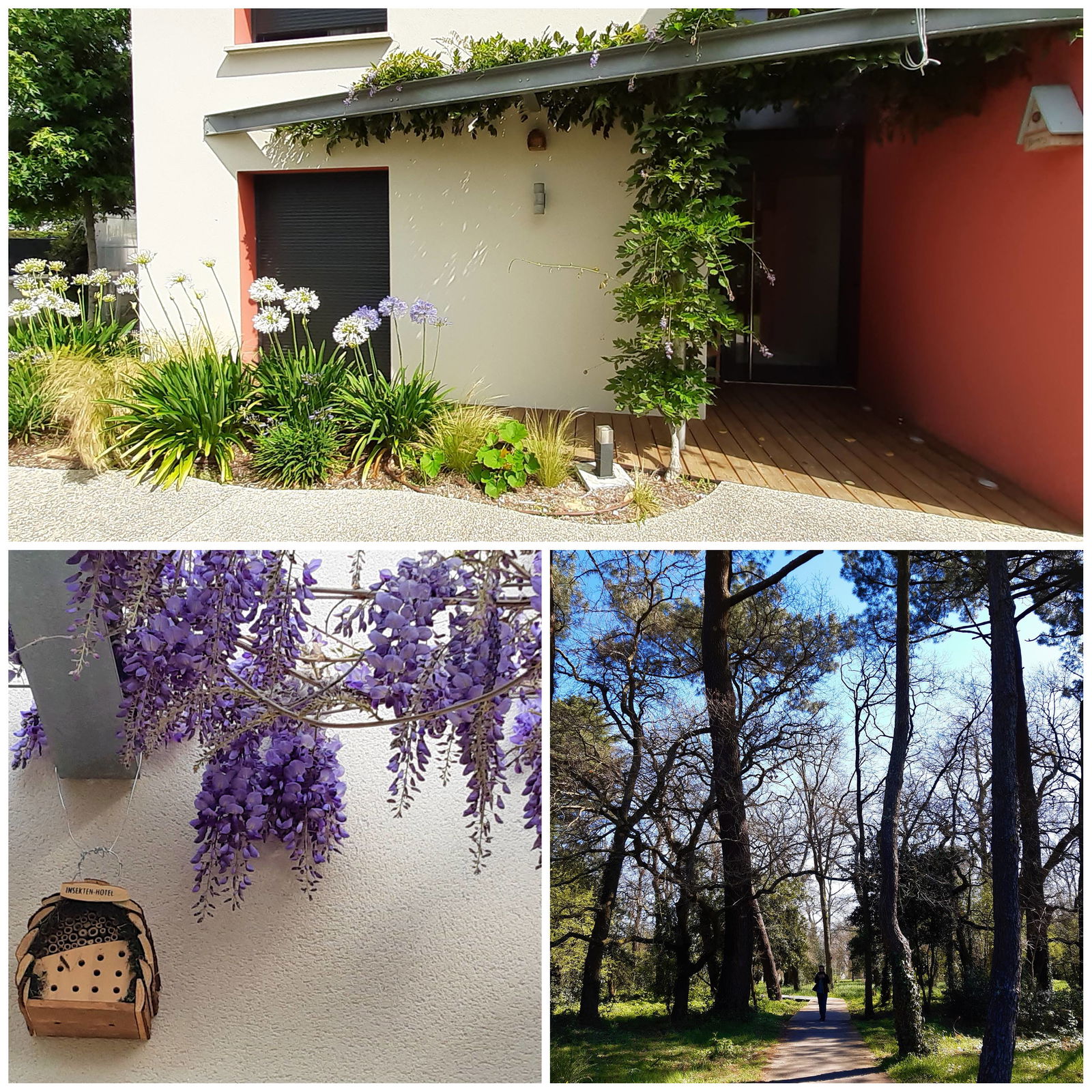 Homestay Pessac 370166