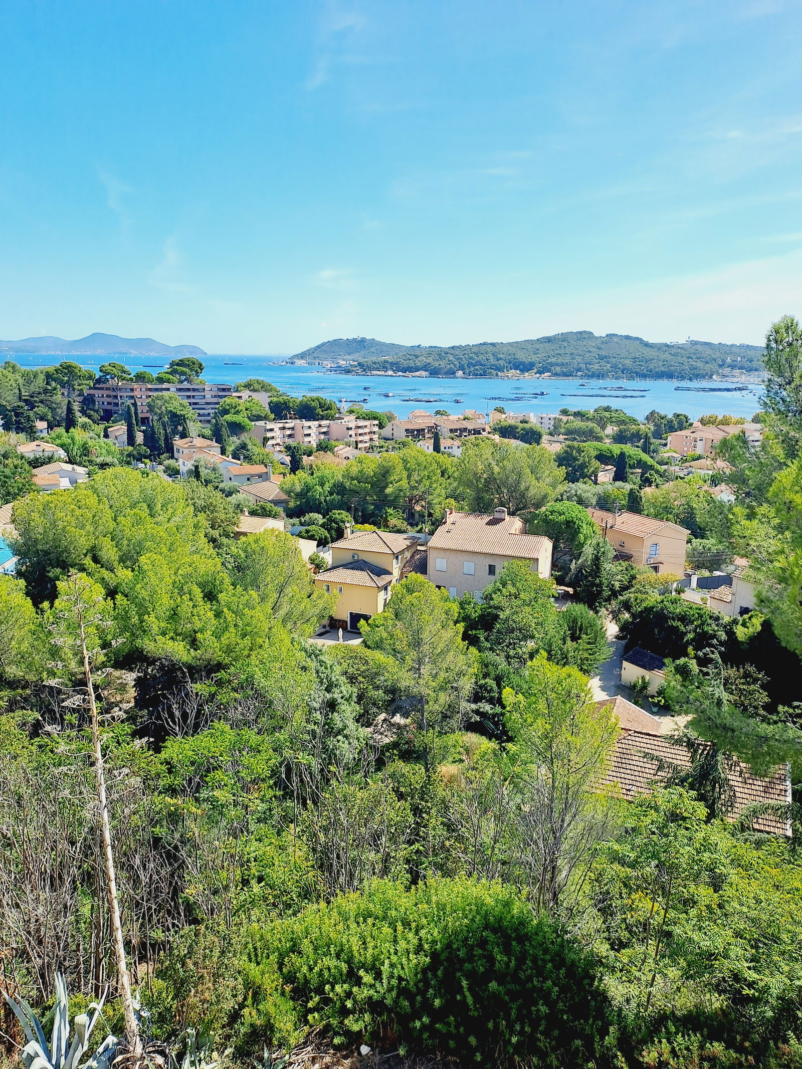 Independent Studio La Seyne-sur-Mer 261997