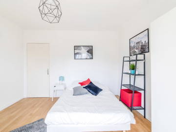 Room For Rent Strasbourg 264696