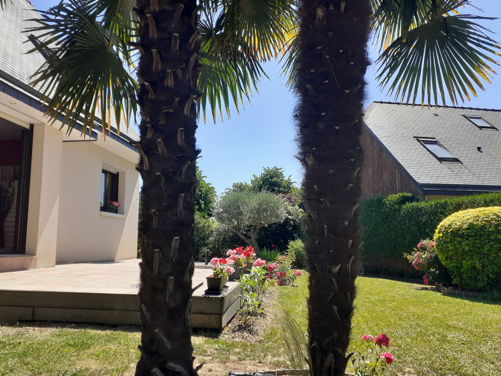 Homestay Bruz 412894