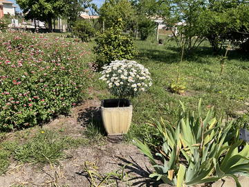 Chambre Chez L'habitant Langon 249387-6