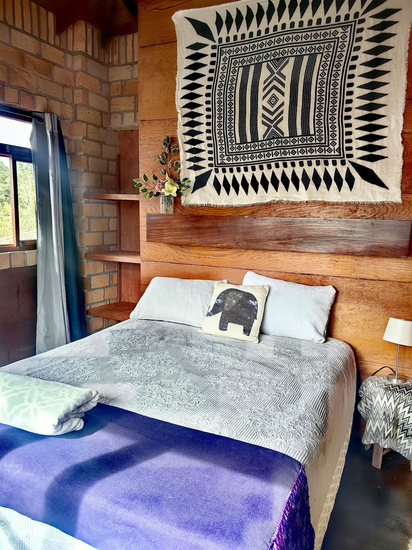 Kolokasie TGU 249207