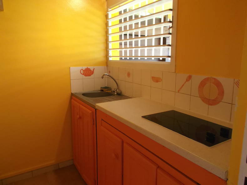 Logement Entier Puget-Théniers 72177-1