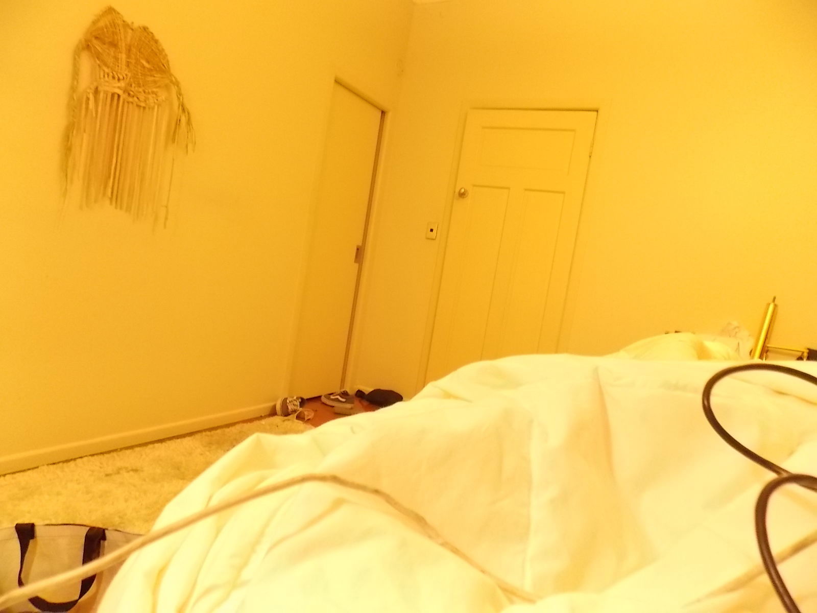 Chambre Chez L'habitant Auckland 258655