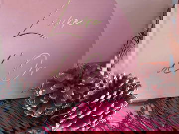 Logement Entier Saint Pierre 58436-18