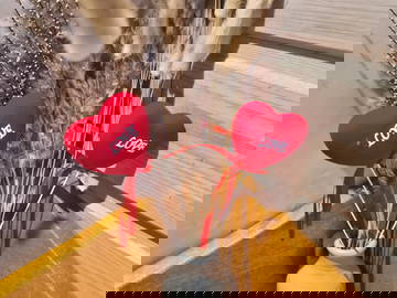 Logement Entier Saint Pierre 58436-9