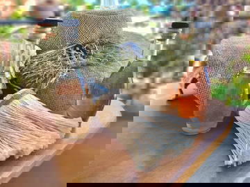 Entire Home Saint Pierre 58436-17