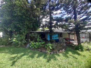 Colocation Rivière Noire 190271-4