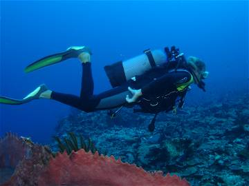 Entire Home Sainte-Luce 133418-9