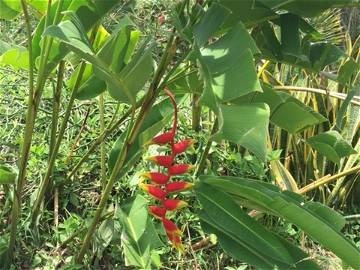 Entire Home Sainte-Luce 133418-10