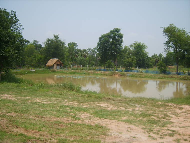 Chambre À Louer Bua Yai 75240