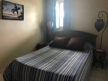 Logement Entier Sainte-Clotilde 249757-4