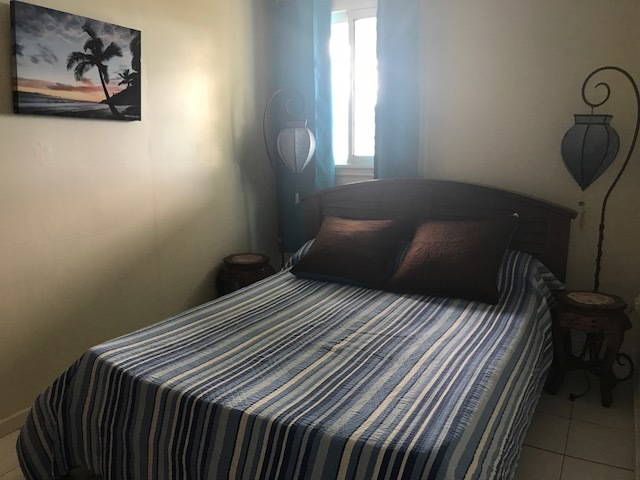 Ganzes Haus Sainte-Clotilde 249757-4