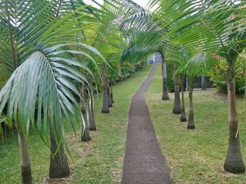 Logement Entier Sainte-Clotilde 249757-6