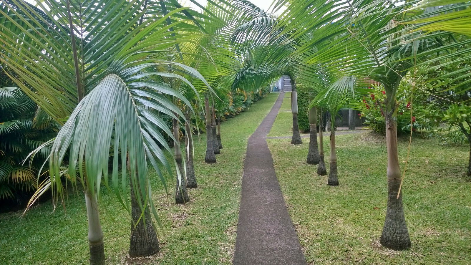 Unabhängiges Studio Sainte-Clotilde 249757