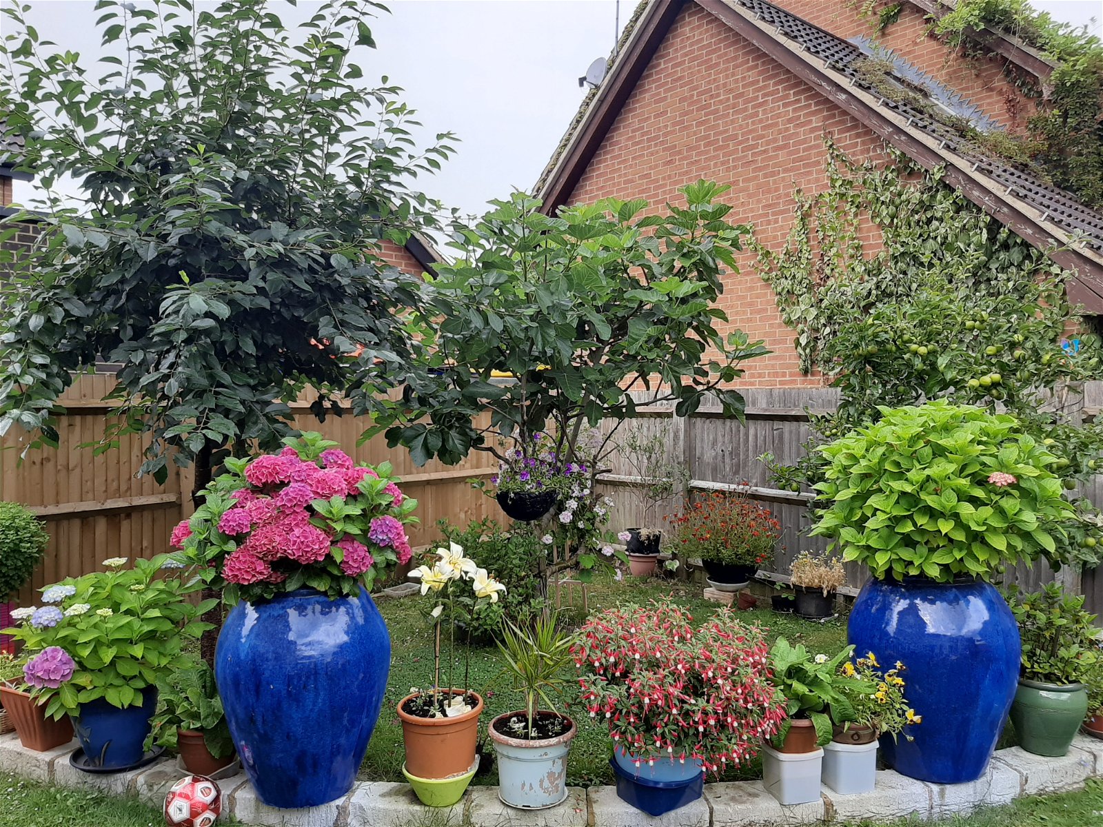 Hemvistelse Burgess Hill 227588