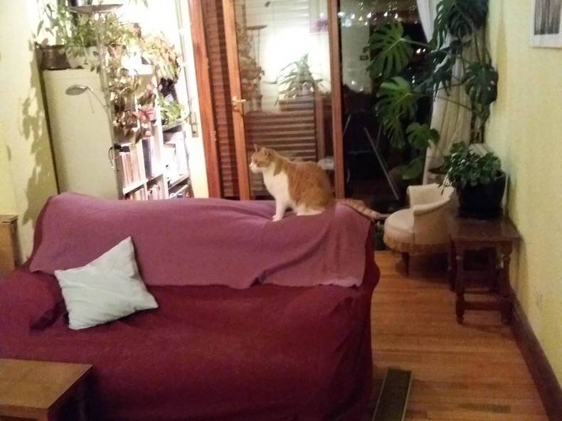 Colocación Bilbo 99042-1