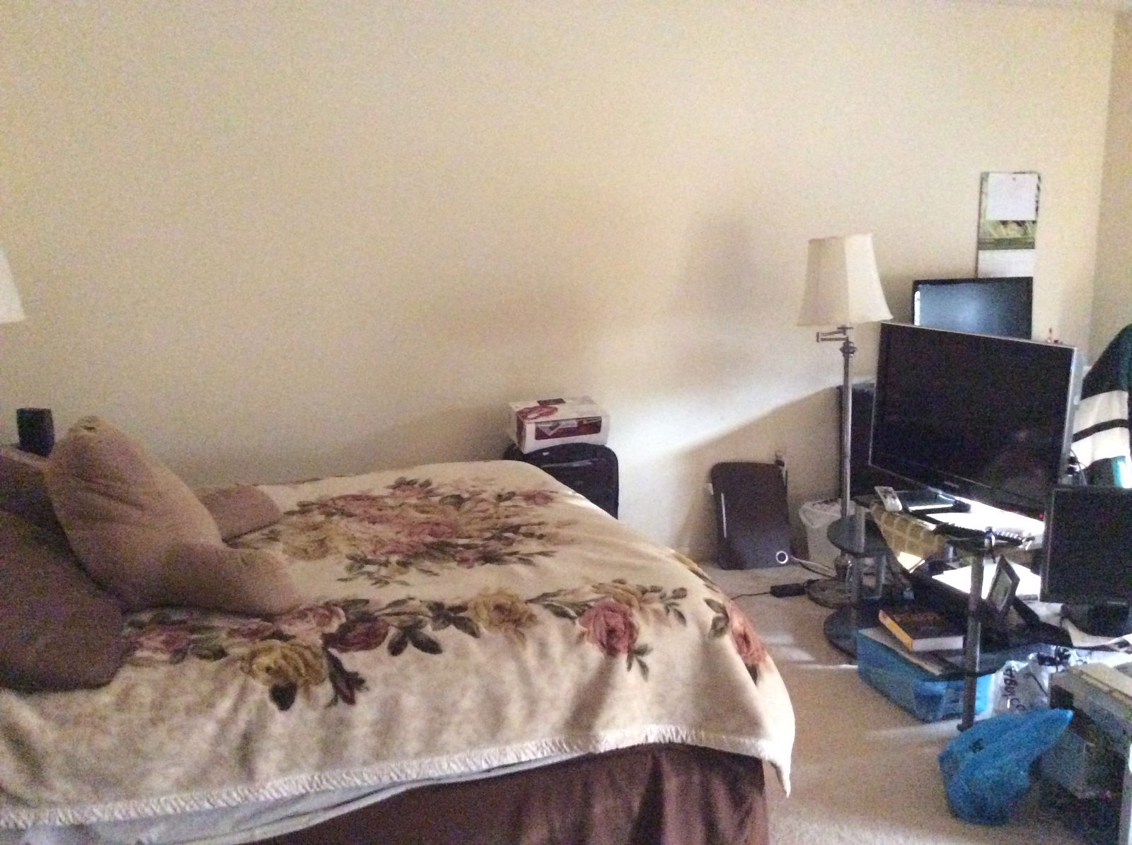 Quedarse En Casa Alexandria 144233