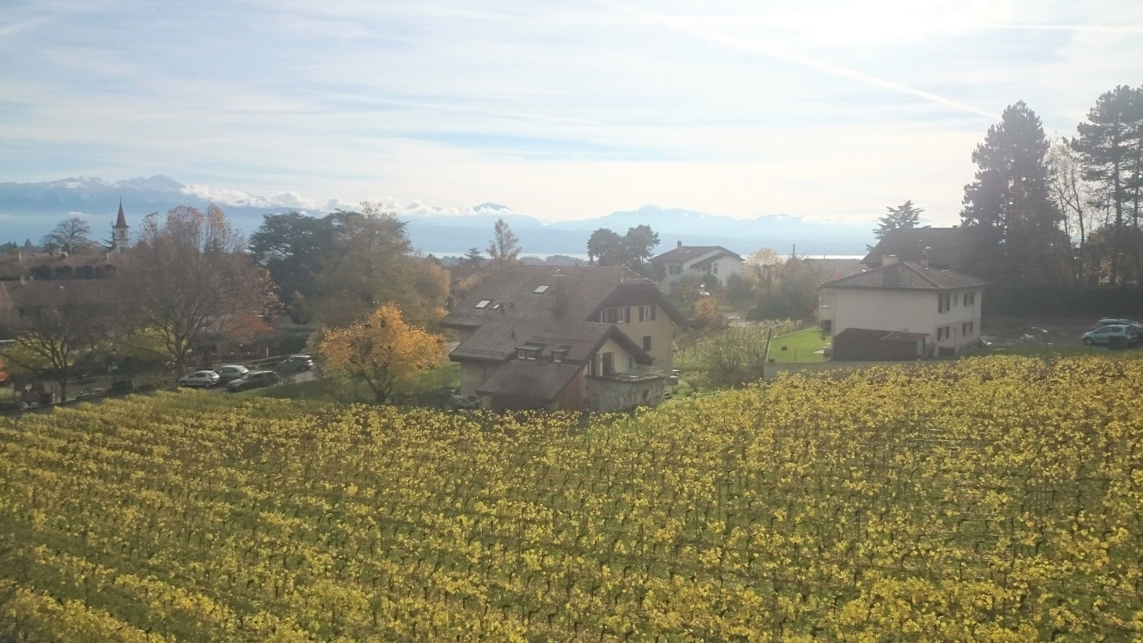 Colocación Echandens 99706