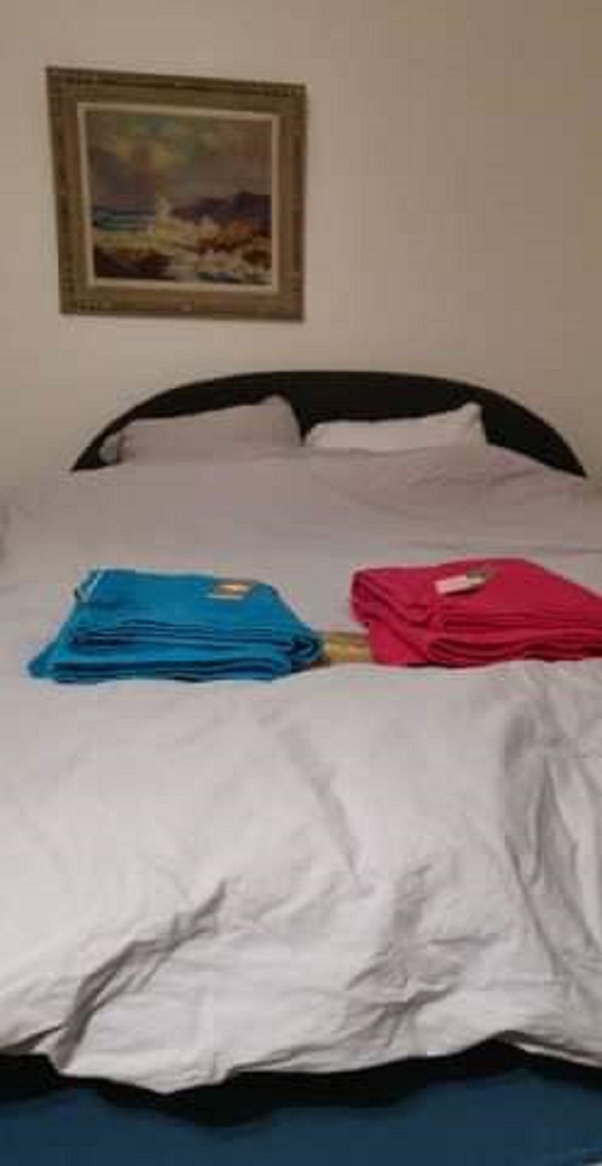 Colocación Saint-Ouen 248065