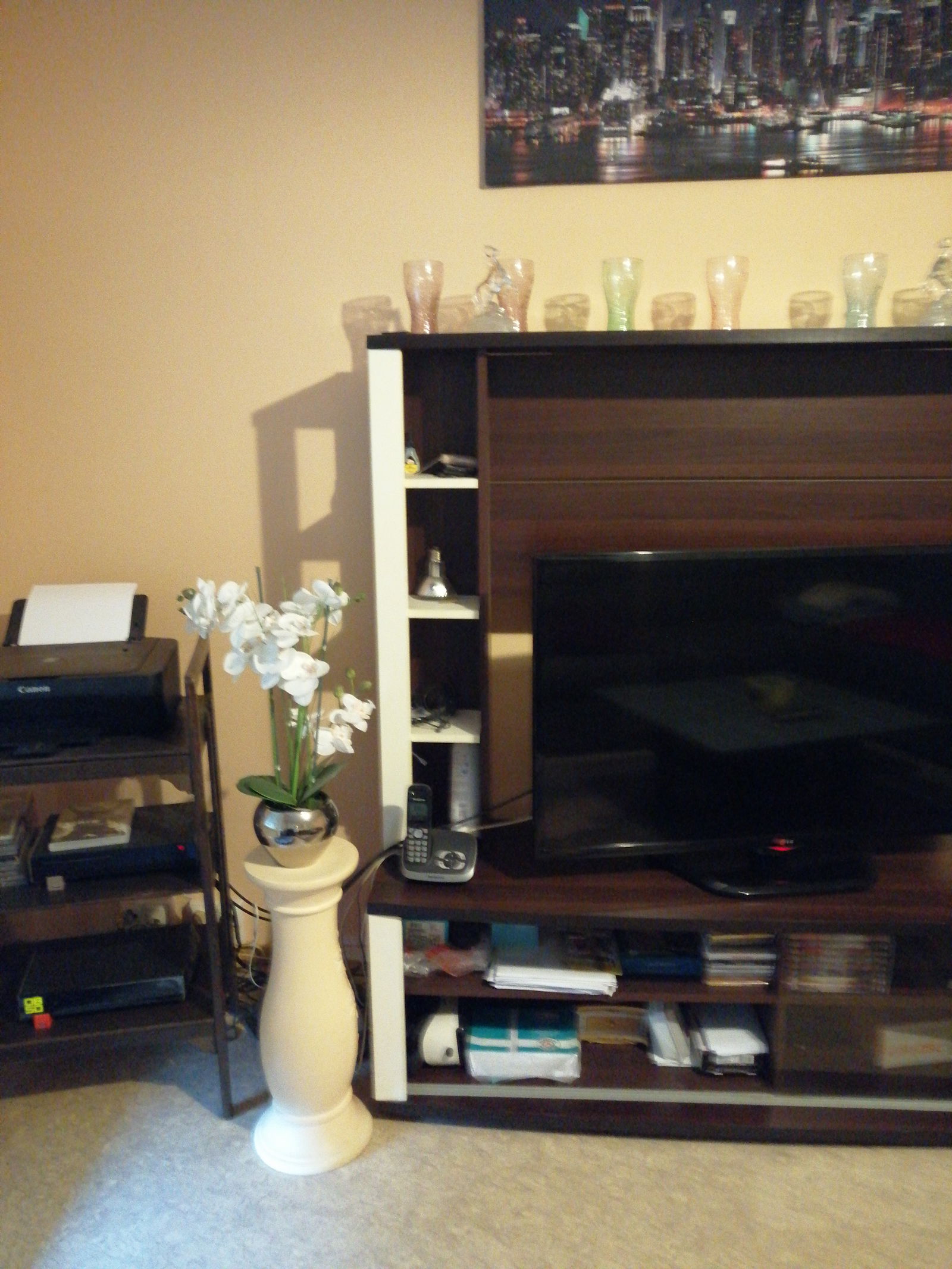 Colocación Colmar 250031