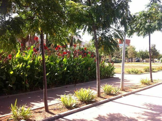 Chambre Chez L'habitant Palma de Mallorca 30903-4