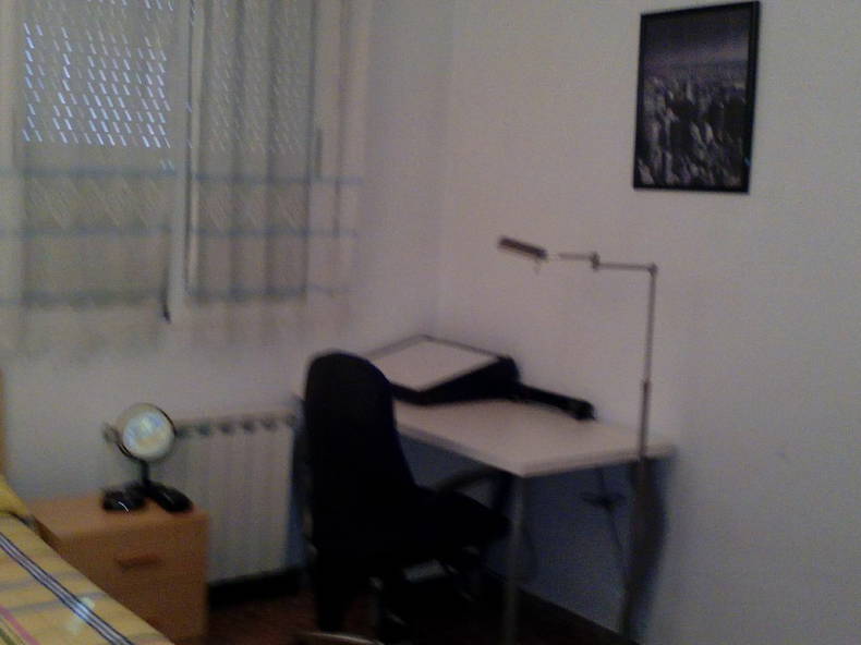 Kolokasie Teruel 148802-4