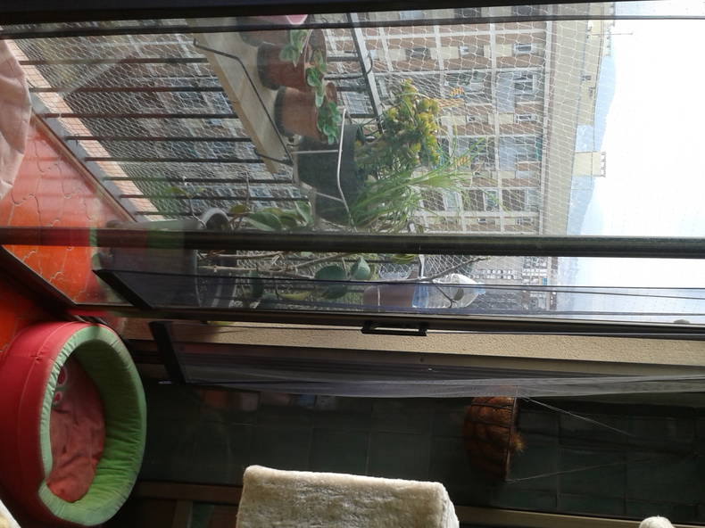 Colocación Barcelona 87586-3