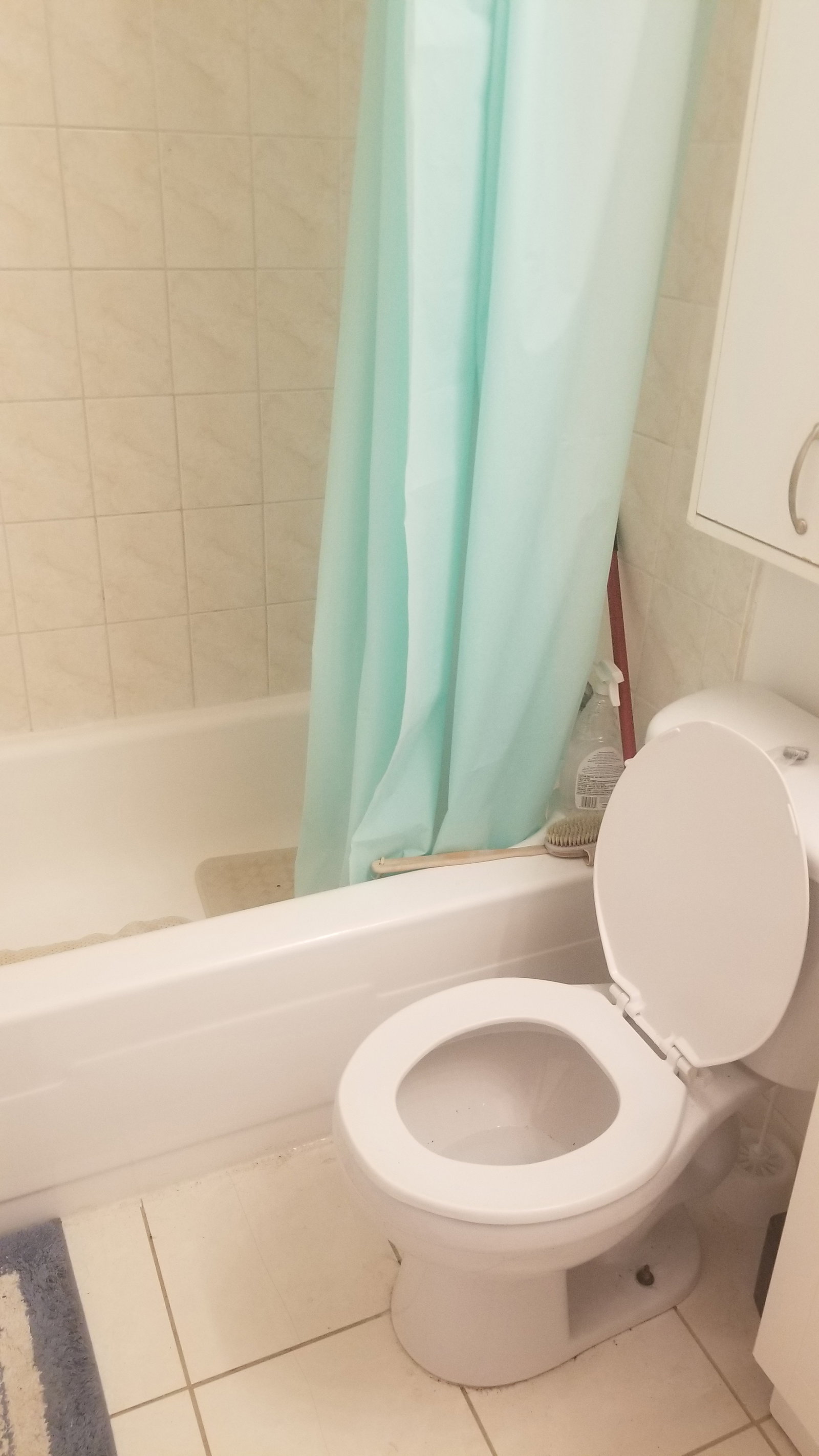 Colocación Saint-Bruno-de-Montarville 662182