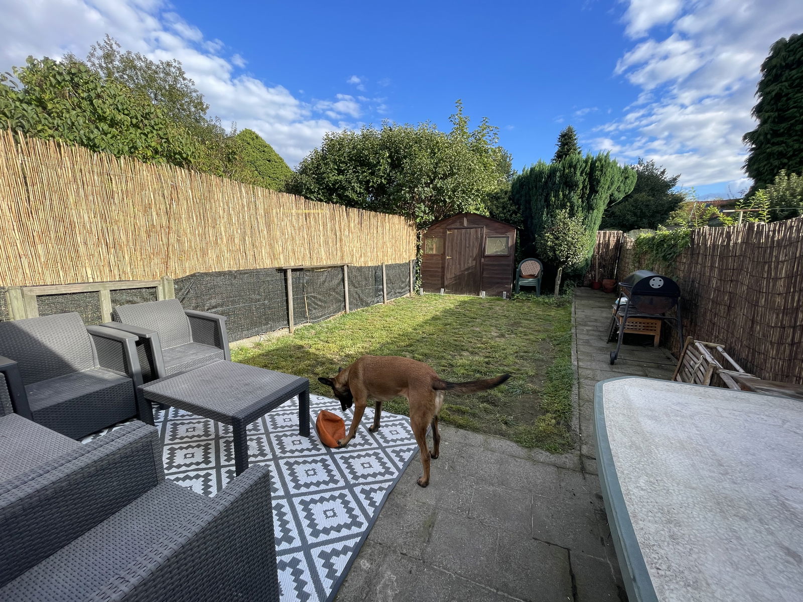 Colocación Tervuren 152014