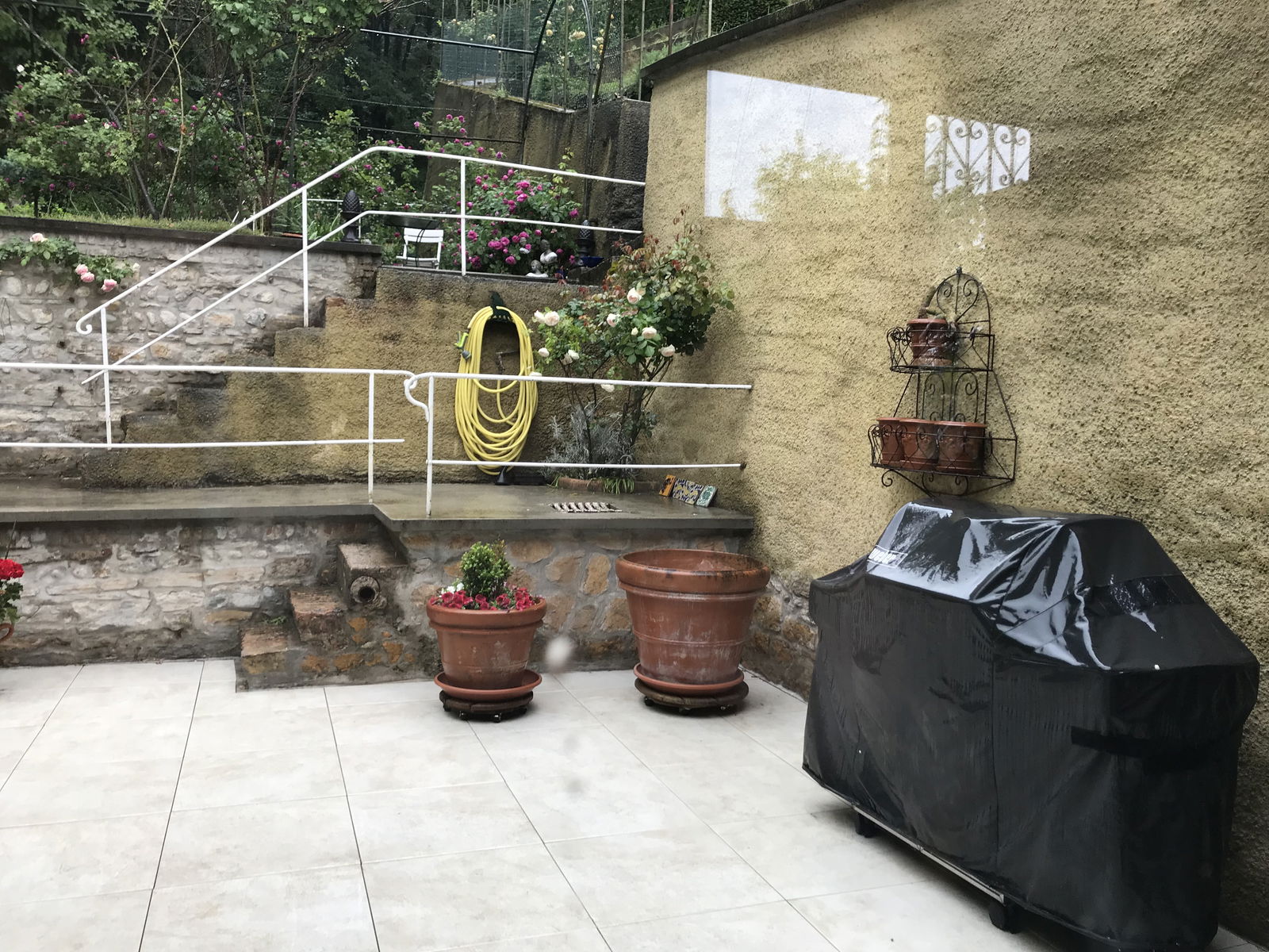 Homestay Caluire-et-Cuire 146742