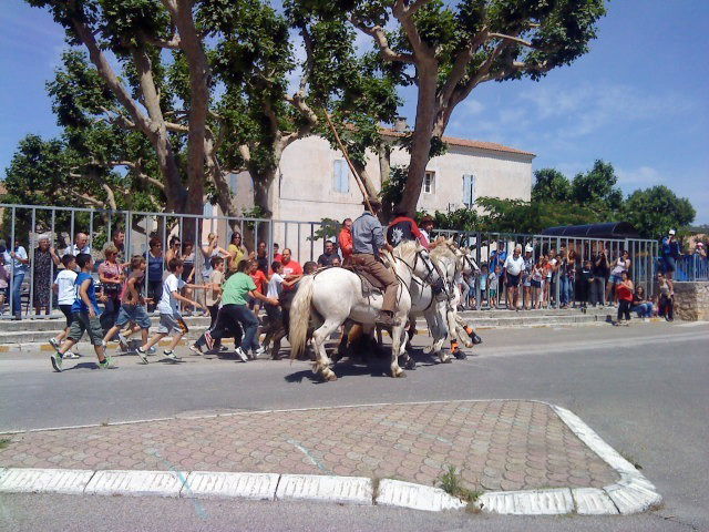 Hela Huset Vallabrègues 37165