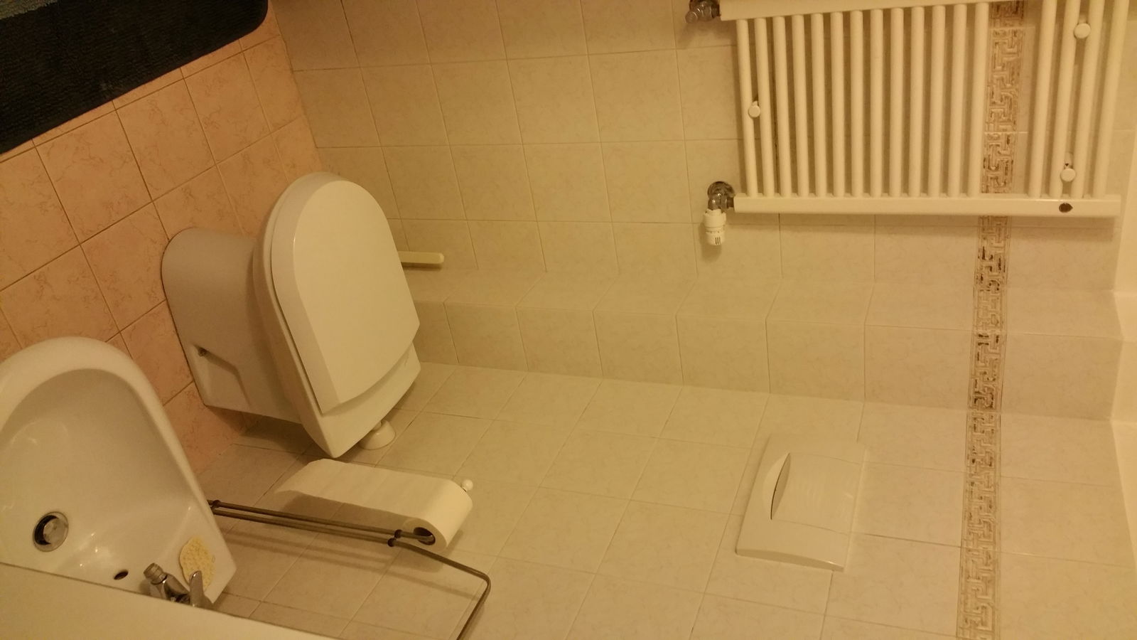 Unabhängiges Studio Venezia 192945