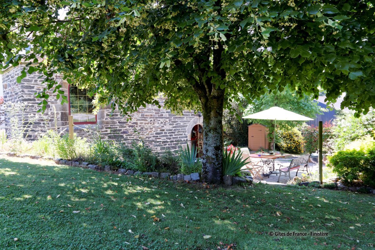 Estudio Independiente Briec 74098