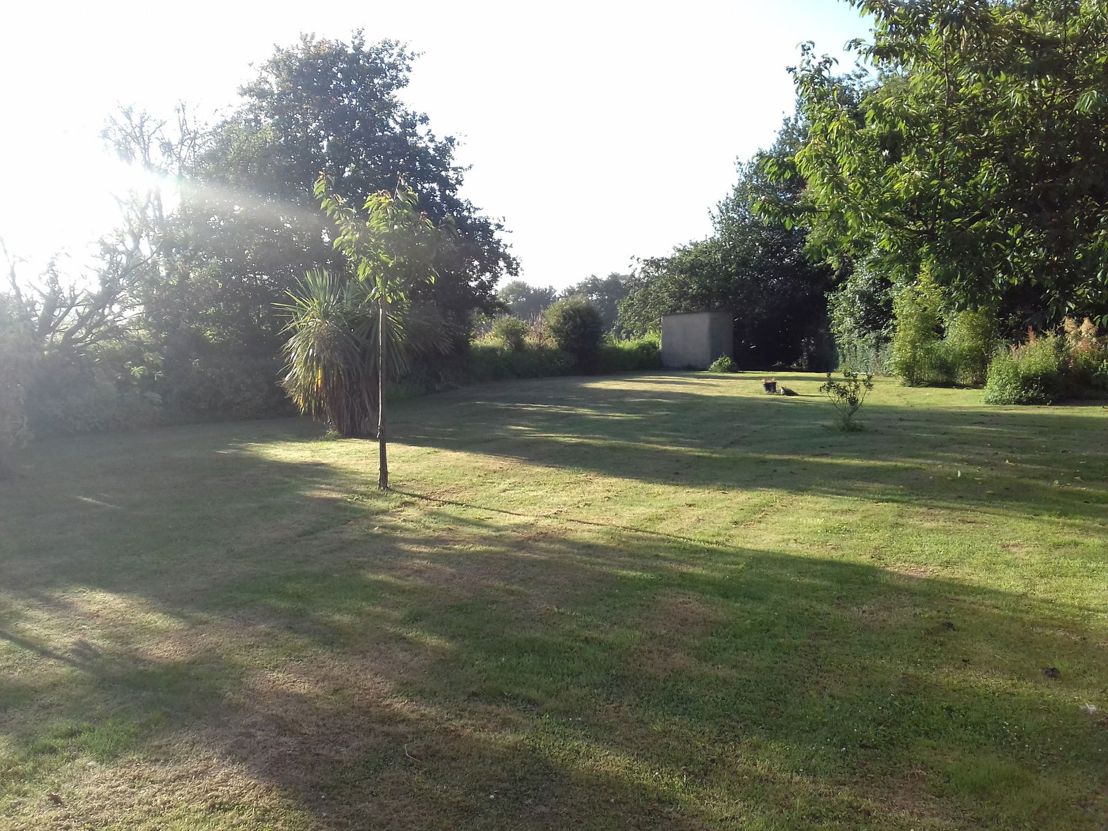 Estudio Independiente Terre-et-Marais 180631