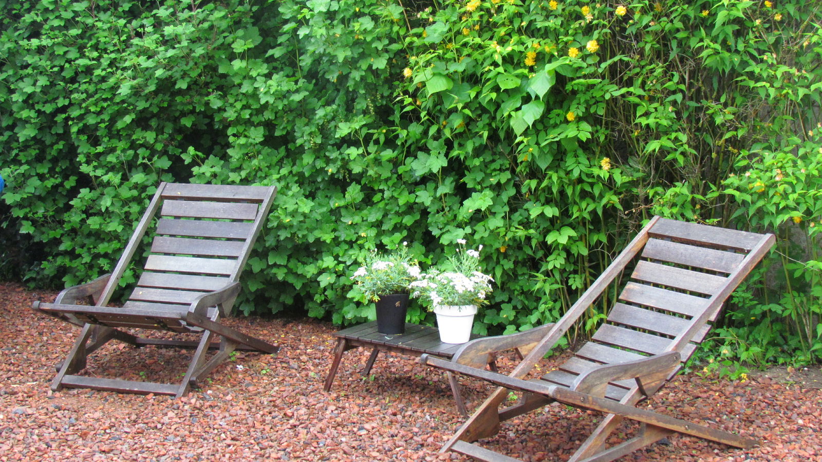 Estudio Independiente Arras 187654